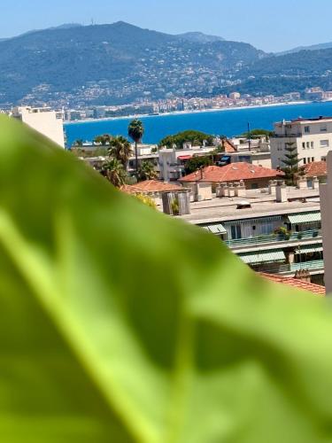 Votre grand COCON Niçois Appart Vue Mer, Nizza (Foto 3)