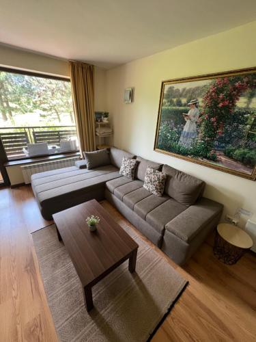 The Nature View Suite, part of Terra Complex & Spa - Apartment - Bansko