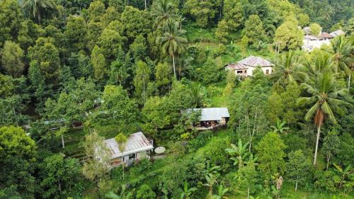 Ananda Homestay in Singaraja