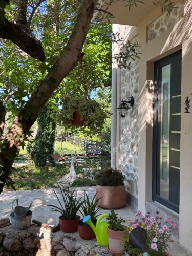 Green Ranch Stara Maslina in رادانوفيشي