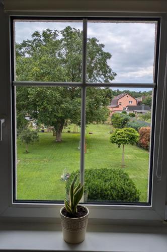 Garden, FeWo Ertel in Hennigsdorf