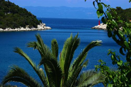  Apartments Leo Katić, Pension in Lastovo