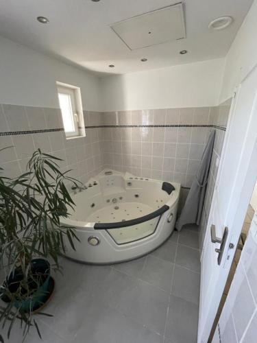 Maison blanche in Син