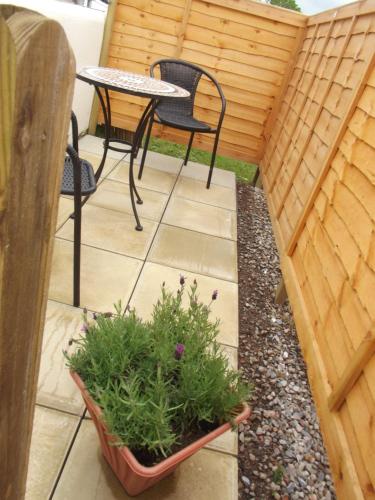 Auntie Bett's - Cosy Double Bedded Ensuite Room with Mini Kitchen in Churchstow