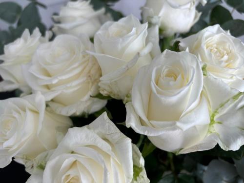 Exterior view of BG home