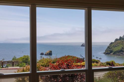 Trinidad Bay Bed and Breakfast Hotel - image 5