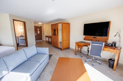 1 king bed, 1 sofa bed