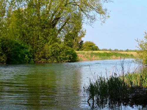 ทัศนียภาพภายนอกโรงแรม, Tickton Hall Cottage in เบเวอร์รี่