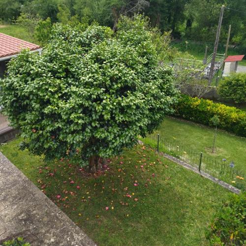 Dārzs, Casa en Loira Marín (Casa en Loira Marin) in Aguete