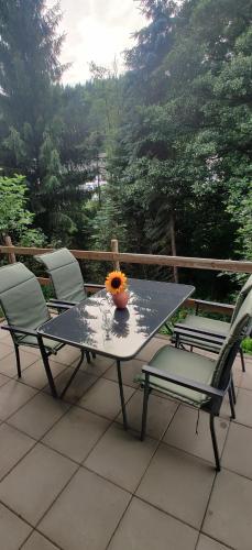 Ferienwohnung Bergfreiheit in Silbach