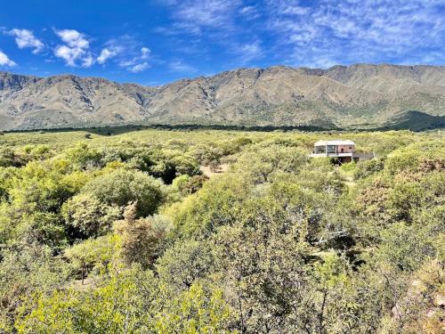 La Bendecida in Loma Bola