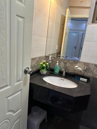 One-Bedroom Apartment image 10