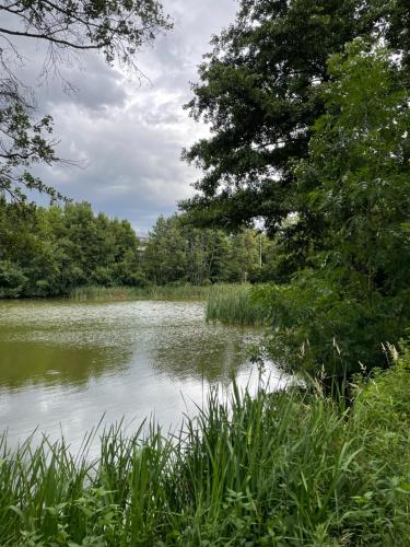 Ferienwohnung Mimi Souterrainwohnung in 卡斯特勞恩