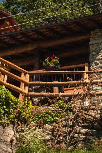 Ca d' Vetu in Roccaforte Mondovi