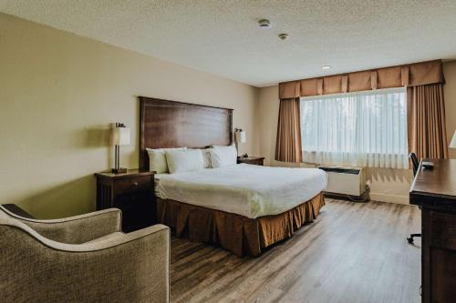 SureStay Plus by Best Western Coquitlam Room Type - King Room with Bath Tub - Disability Access/Non-Smoking 
