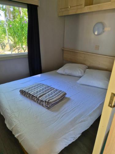 Le mobile home est dans le pré (Le mobile home est dans le pre) in Tintry