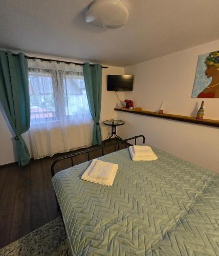 Guest house Karina in Risnov