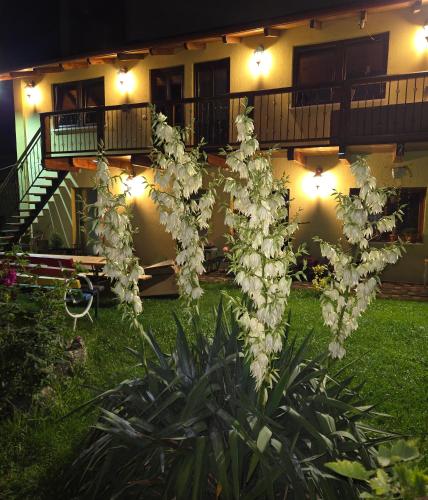 Guest house Karina in Risnov