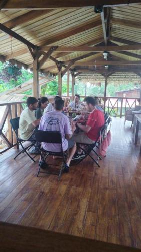 Liahs tortuguero in Tortuguero