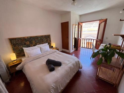 Che San Cristobal de las Casas Hostel in San Cristobal De Las Casas