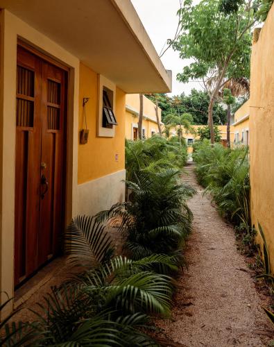 Hotel Unknown in Merida