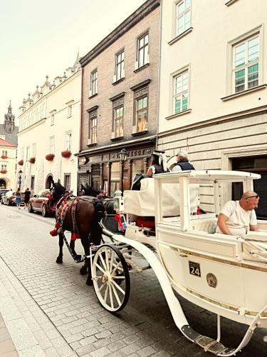 The Heritage House Aparthotel Main Square Self Check-In AC, Krakov (fotografie 9)