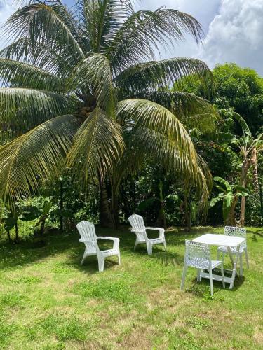 Jardim, Maison charmante à Baie-Mahault avec jardin clôturé (Maison charmante a Baie-Mahault avec jardin cloture) in Baie-Mahault