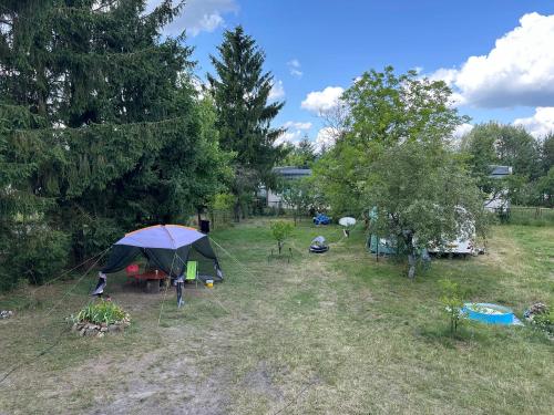 Pole kempingowe Zalewowa Gruszka
