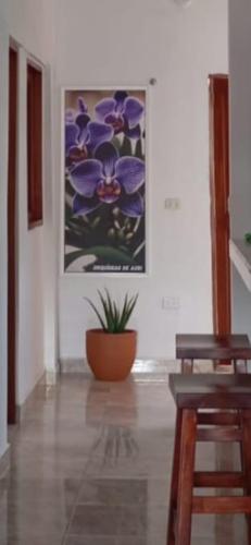 hostal orquideas de auri in Necocli