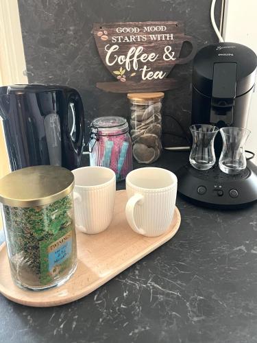 appartement coconing in Le Perrey