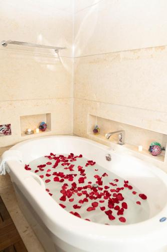 HOTEL PLAZA SAN CRISTOBAL INN in 聖克里斯托瓦爾拉斯卡薩斯