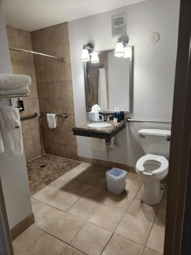 Four Points by Sheraton Kansas City Airport, Kansas City (foto 6)