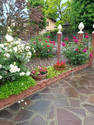 LILY - STORIE DEL BOSCO - in San Felice Sul Panaro