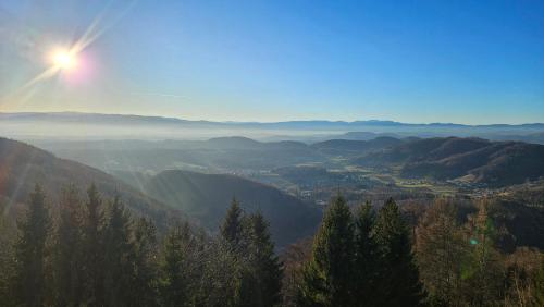 Grazer Nest - Cozy apartment in Graz in Andritz