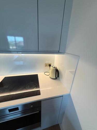 Vibrant one bedroom Apartment near city Center access to shops and cafe, Birmingham (fotografie 6)