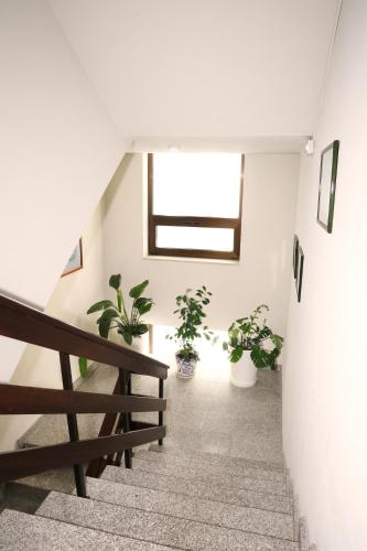 Hotel Ribadouro - image 19