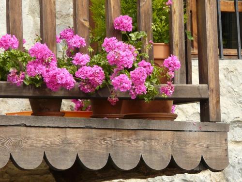 Hotel Rural Zalama - image 3