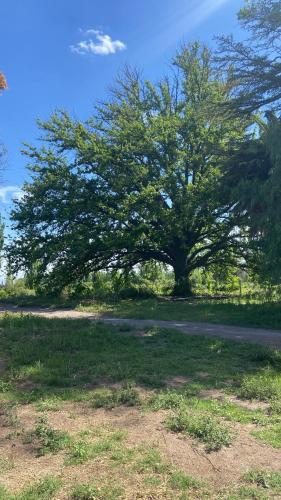Finca Zen, naturaleza y agroecologia in Salto de las Rosas