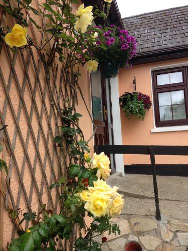 Eriu Lodge in Moyard