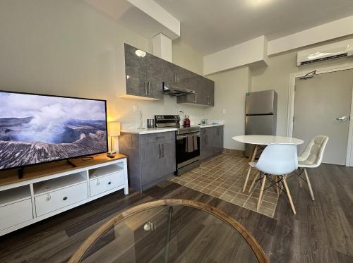 Furnished Simcoe Lofts