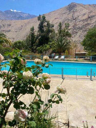 Cabañas Pisco Elqui