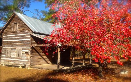 The Senator Cabin in Lloyd