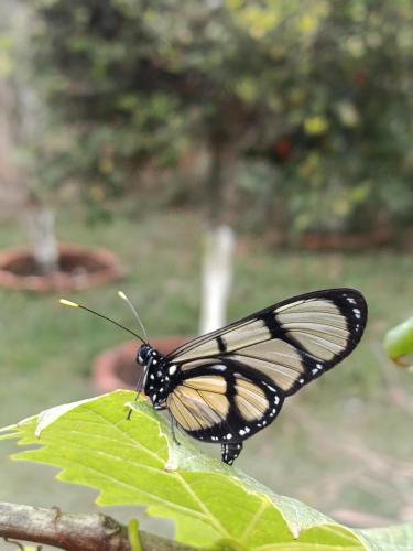 Che Parce in Samaipata