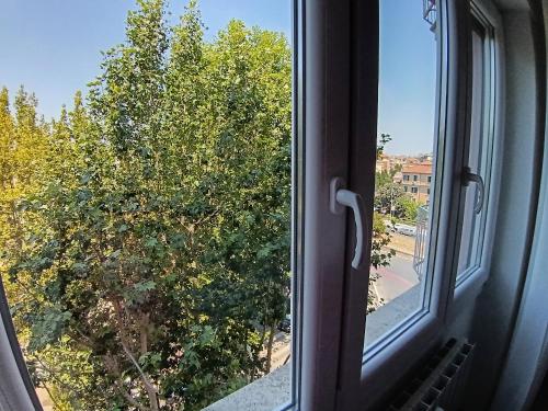 Gigli Felici Roma, Rzym (zdjęcie 10)