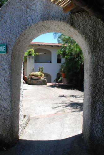 One-Bedroom Apartment image 1