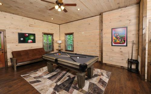 Chestnut Bearadise in Gatlinburg, USA