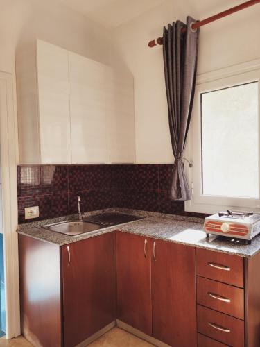 One-Bedroom Apartment image 10