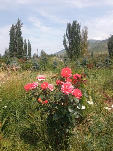 Zuhra Luxury Etno Yurt Tend in Teploklyuchenka