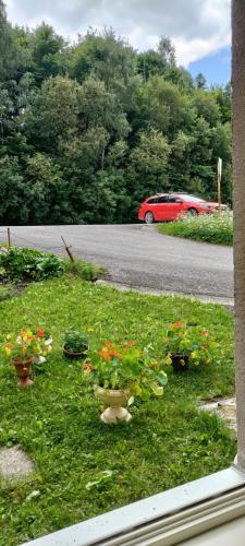 Apartman u Hutskeho potoka in Rokytnice nad Jizerou