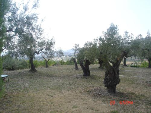 Casa Rural Masía Barbera